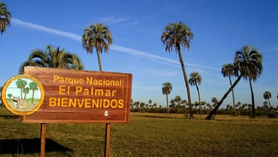 En Entre Ríos la apertura al turismo nacional se realizó el 4 de diciembre pasado y solo se exige completar el Certificado Verano. En Entre Ríos la apertura al turismo nacional se realizó el 4 de diciembre pasado y solo se exige completar el Certificado Verano.