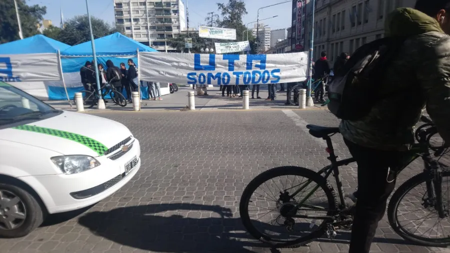 Acampe Acampe