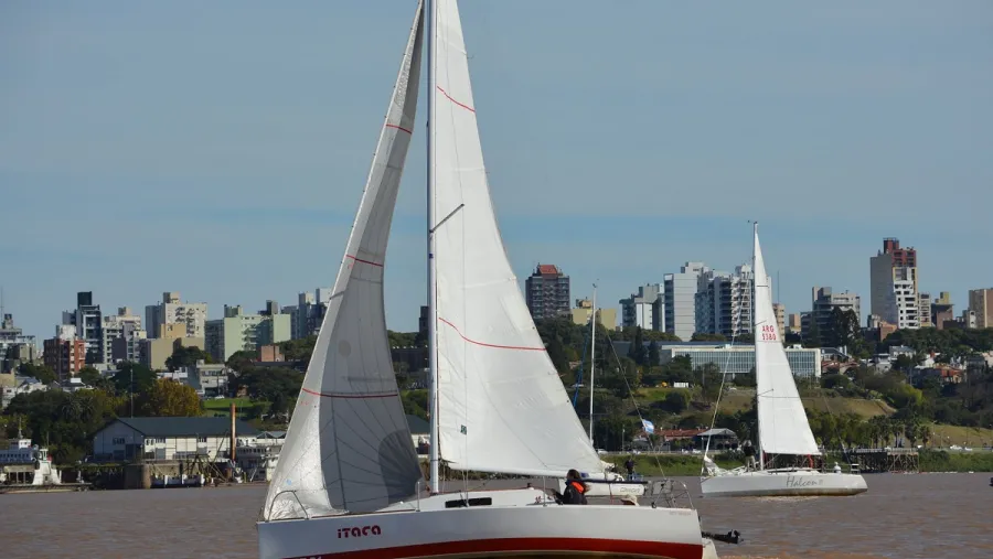 Vela Vela