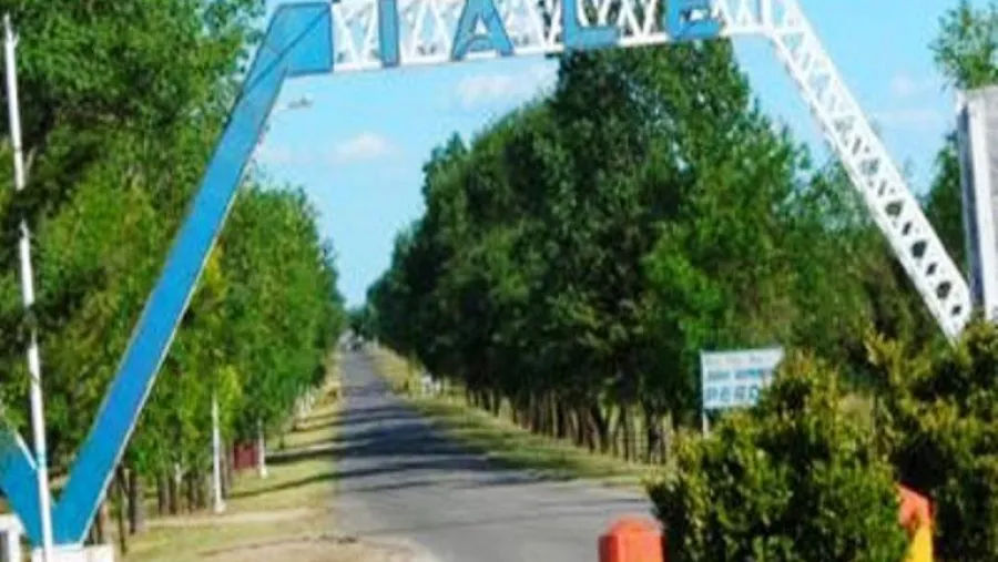 Viale Viale