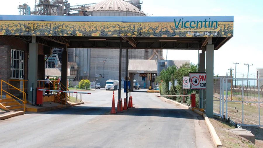 Vicentin. Vicentin.