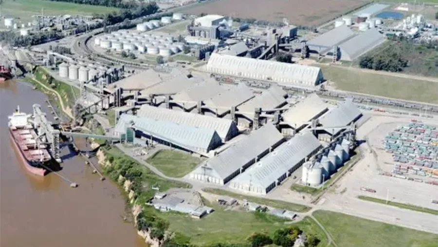 La causa fue iniciada por la AFIP a partir de la supuesta emisión de facturas apócrifas por parte de la agroexportadora. La operatoria denunciada consistía en utilizar, registrar y presentar facturas apócrifas millonarias generadas por 54 presuntos proveedores. La causa fue iniciada por la AFIP a partir de la supuesta emisión de facturas apócrifas por parte de la agroexportadora. La operatoria denunciada consistía en utilizar, registrar y presentar facturas apócrifas millonarias generadas por 54 presuntos proveedores.