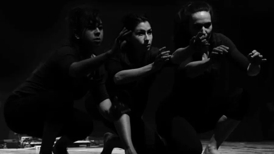 Música y Danza Música y Danza