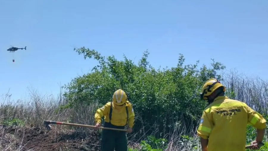 Con medios aéreos y brigadistas de Entre Ríos y Santa Fe sigue el combate de incendios Con medios aéreos y brigadistas de Entre Ríos y Santa Fe sigue el combate de incendios