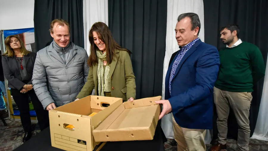 Destacaron que más de 1400 viviendas fueron licitadas en Entre Ríos con fondos nacionales Destacaron que más de 1400 viviendas fueron licitadas en Entre Ríos con fondos nacionales